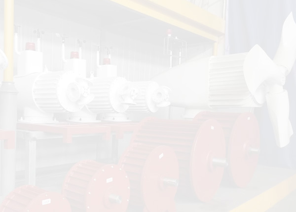 Permanent Magnet Generator